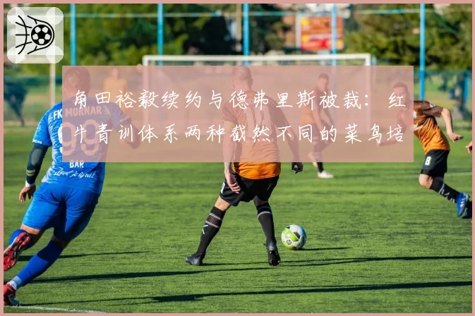 角田裕毅续约与德弗里斯被裁:红牛青训体系两种截然不同的菜鸟培养模式