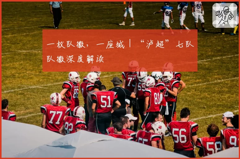 一枚队徽,一座城|“泸超”七队队徽深度解读