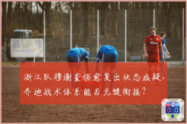 浙江队穆谢奎伤愈复出状态成疑,乔迪战术体系能否无缝衔接?