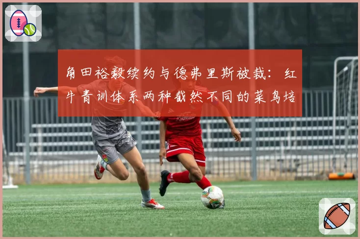 角田裕毅续约与德弗里斯被裁:红牛青训体系两种截然不同的菜鸟培养模式