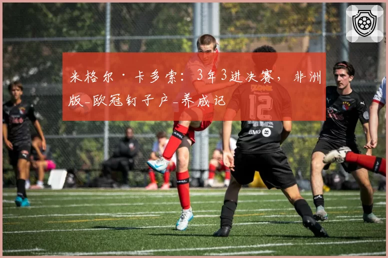 米格尔·卡多索:3年3进决赛,非洲版_欧冠钉子户_养成记